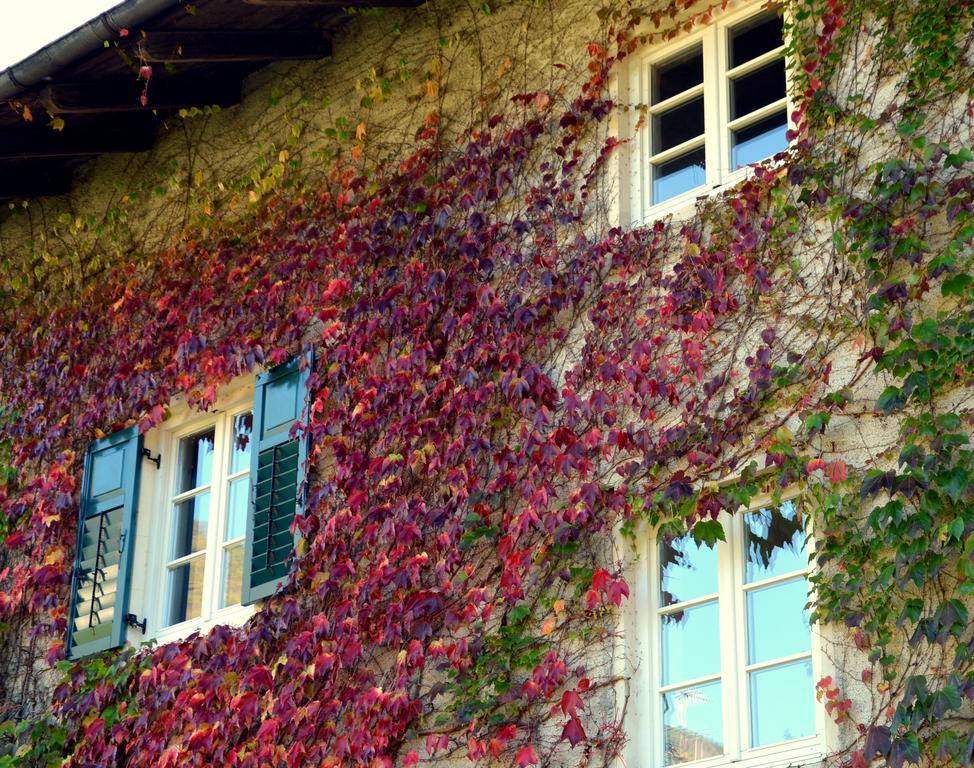 Apartment Im Garten 9 加尔加佐内 外观 照片