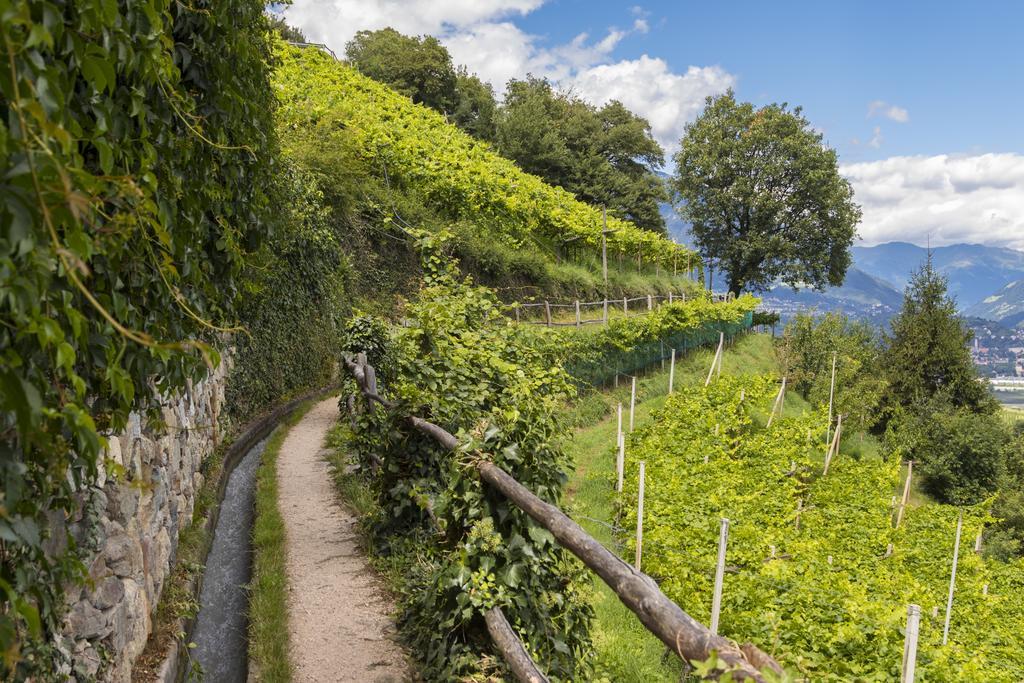 Apartment Im Garten 9 加尔加佐内 外观 照片